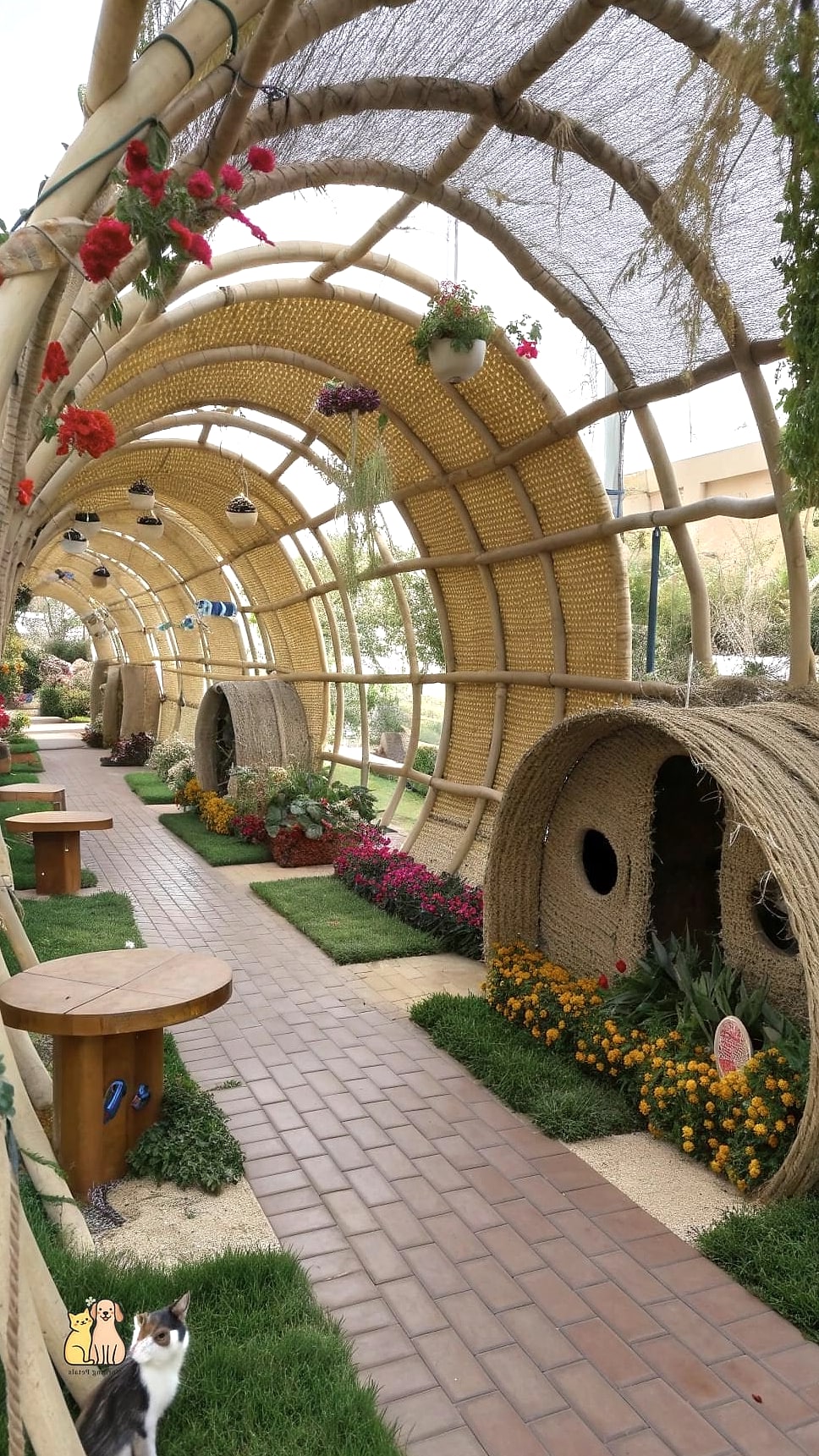 Repurposed Dog Run Conversion