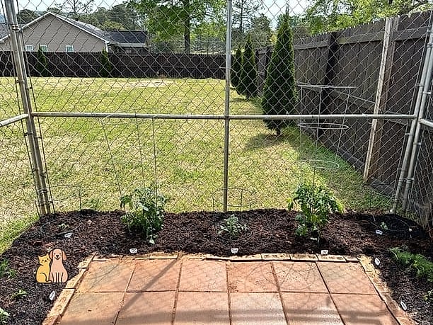 A Repurposed Garden Shed Kennel