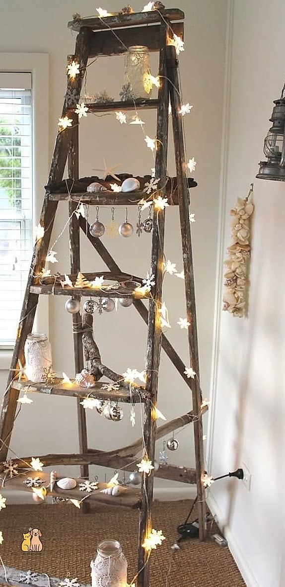 30 Creative Diy Catwalks For Cats That Will Inspire You 12 The Repurposed Ladder Shelf Combo