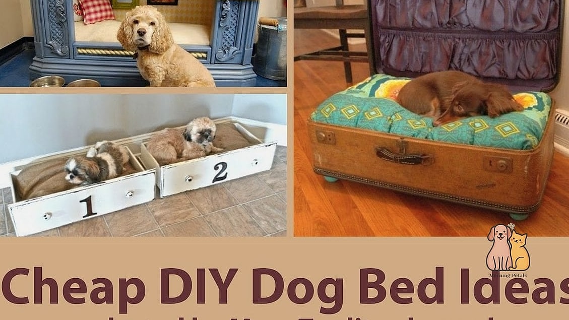 The Repurposed Pet Bed Car Seat