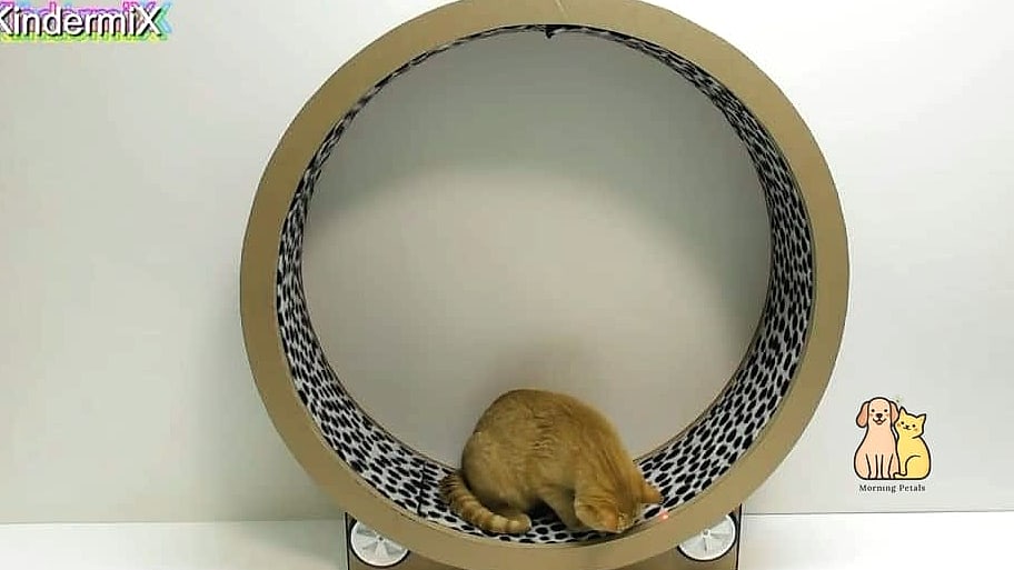 50 Budget-friendly Cat Food Station Ideas Your Pet Will Beg For More 46 The Repurposed Rolling Tea Cart