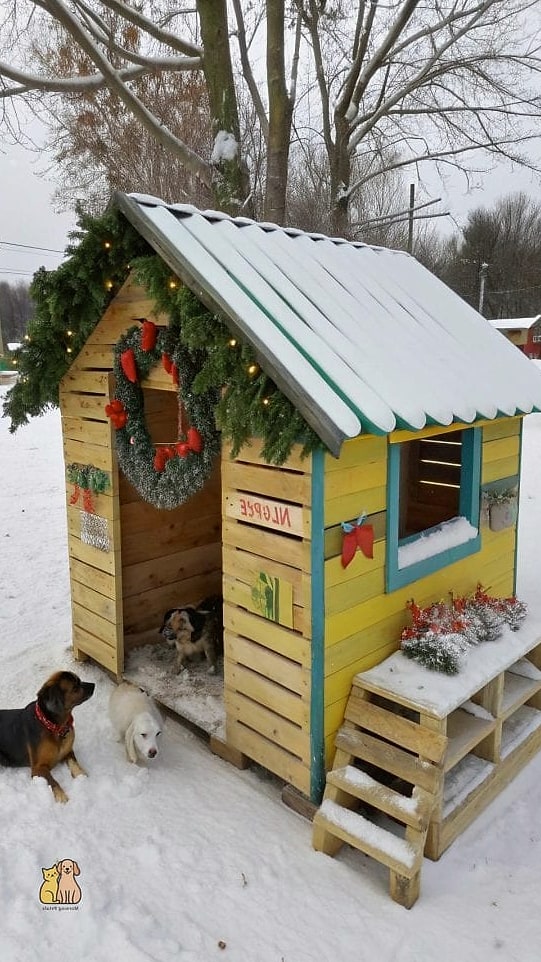 The Repurposed Shed Conversion