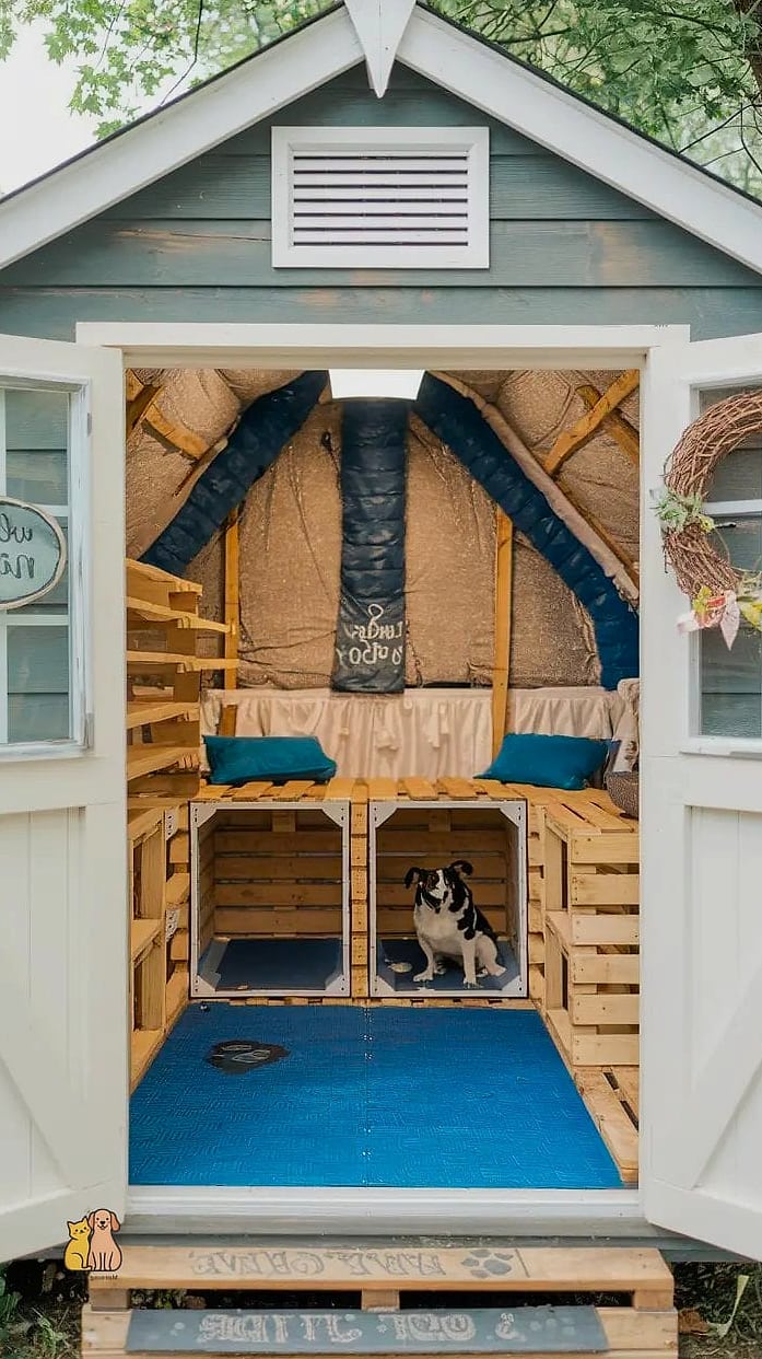 22 Genius Outdoor Dog Shelter Ideas That Are Totally Worth It 12 The Repurposed Shed Conversion