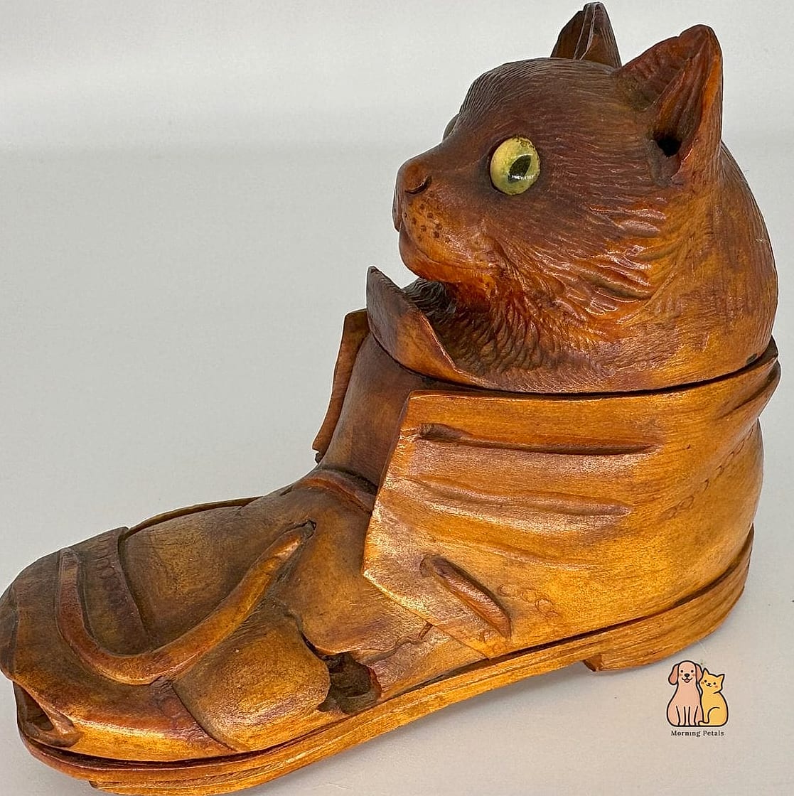 50 Budget-friendly Cat Food Station Ideas Your Pet Will Beg For More 49 The Repurposed Shoe Cubby