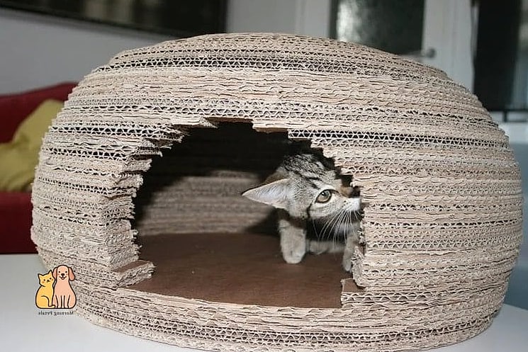 20 Brilliant Diy Cat Cave That Are Totally Worth It 17 Repurposed Wine Barrel Cave