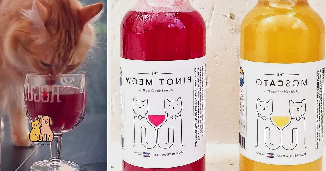 45 Budget-friendly Cat Eating Station Ideas Worth Pinning Immediately 2 The Repurposed Wine Crate Feeder