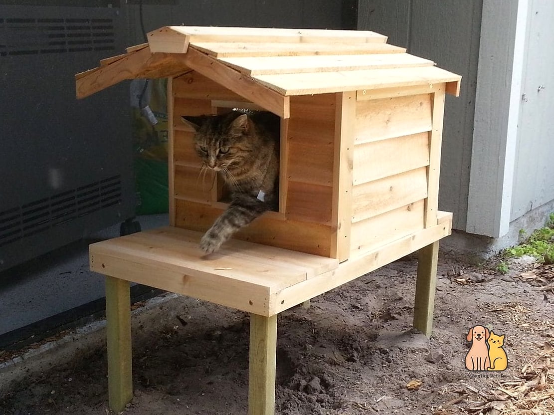 Repurposed Wooden Crate Loft