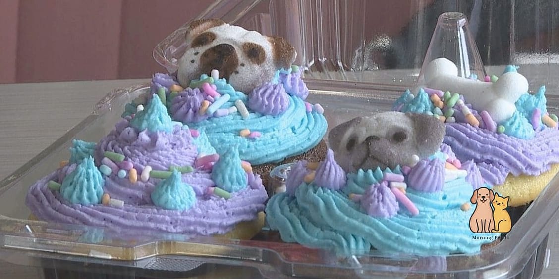 Rescue Dog Celebration Cupcakes
