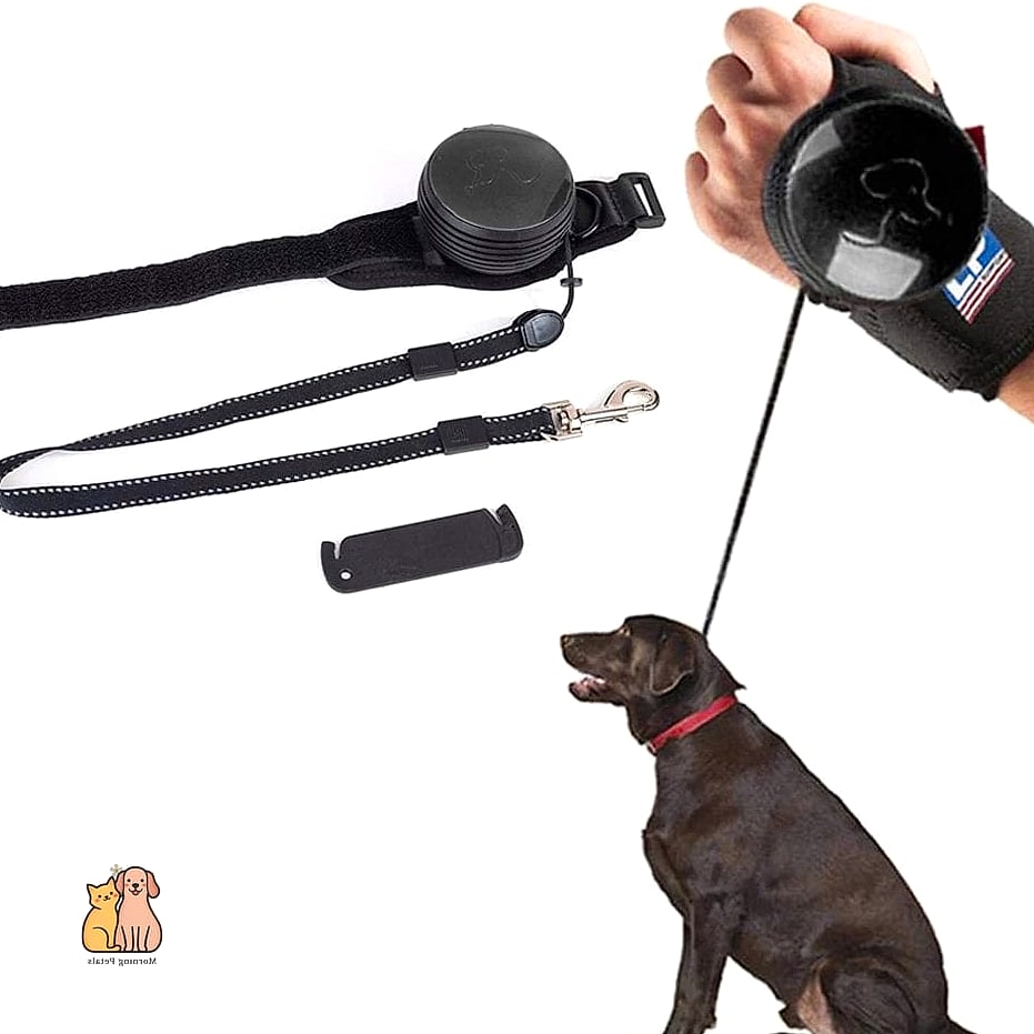 21 Incredible Hands Free Dog Leashes You Need in Your Life Right Now 8 The Retractable Hands Free Leash