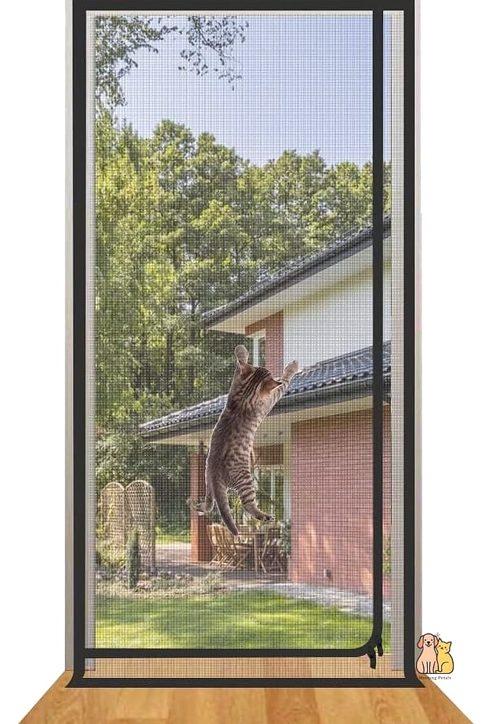 The Retractable Screen Patio