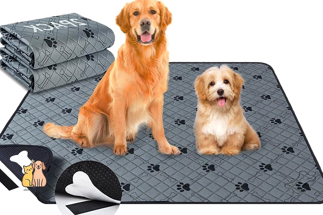 25 Amazing Dog Pee Pads That Will Restore Your Faith in the World 23 The Reusable Pad with Waterproof Liner Insert