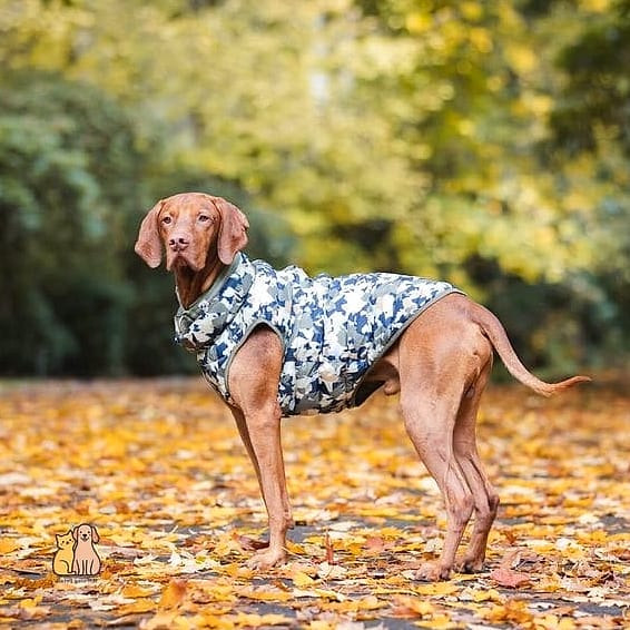 The Reversible Two-in-One Sweater