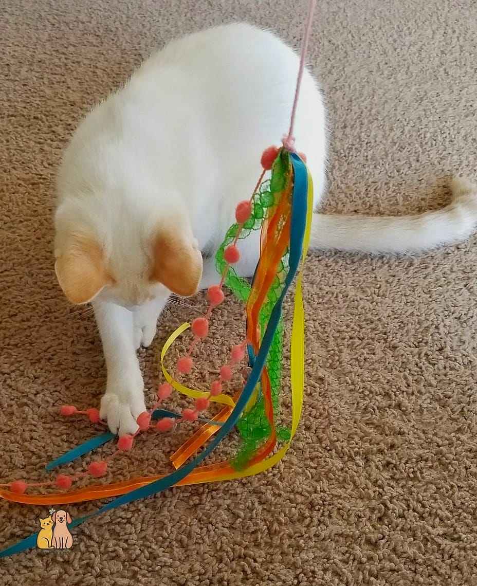 Ribbon Chase Toy
