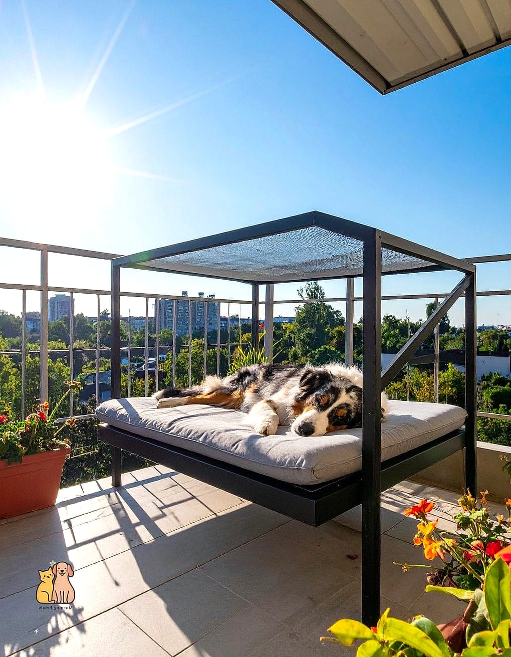 The Rooftop or Balcony Dog Enclosure