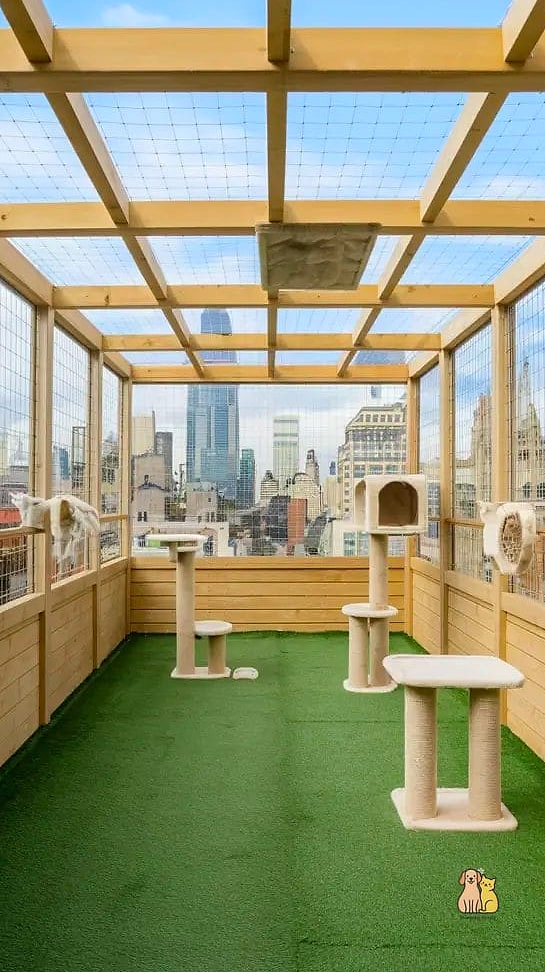 The Rooftop Catio