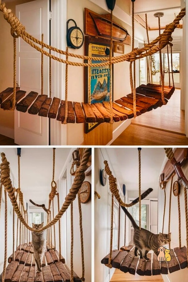 Rope and Blanket Hammock