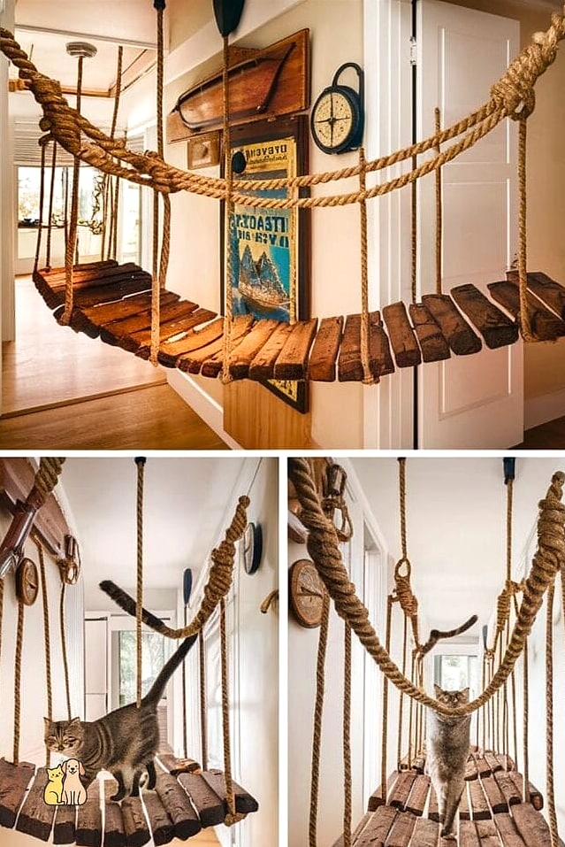 30 Creative Diy Catwalks For Cats That Will Inspire You 7 The Rope Bridge Crossing