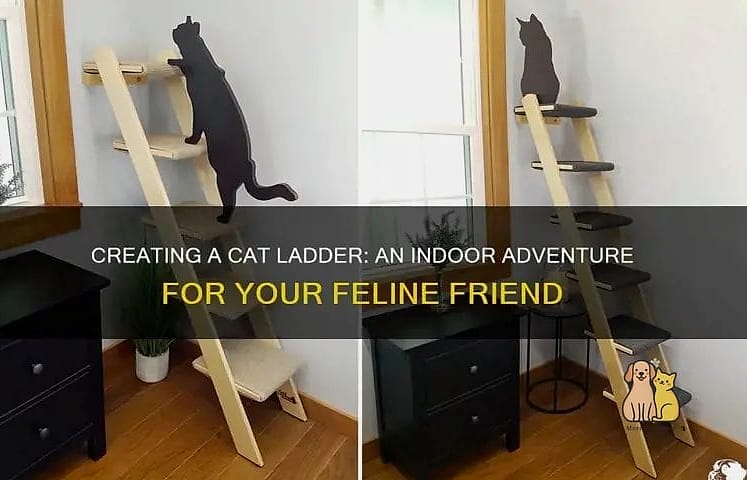 45 Easy Diy Cat Condo to Try Right Now 13 The Rope Ladder Hideaway