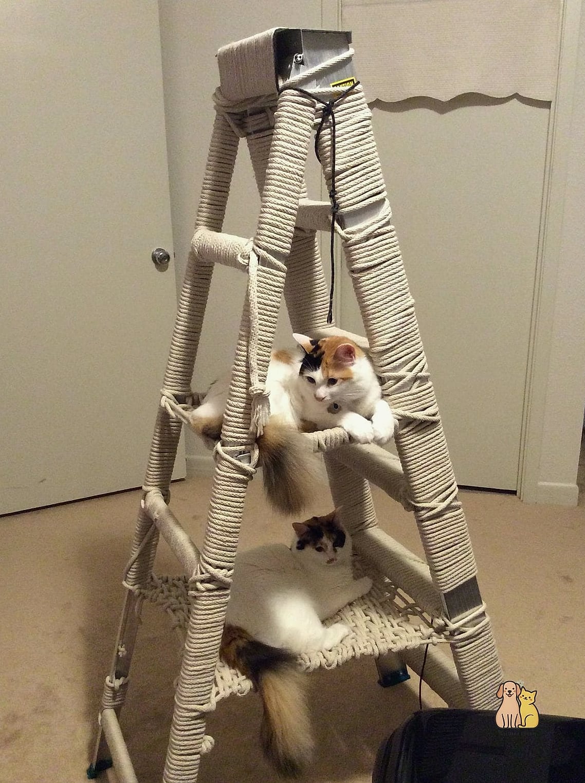 The Rope Ladder Climbing Tree