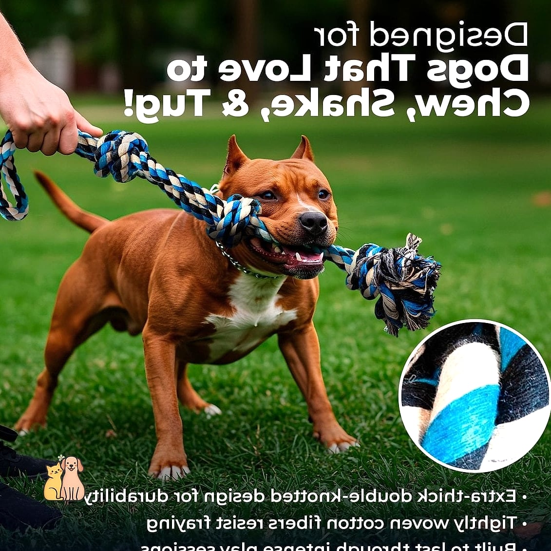 Rope Tug Toys