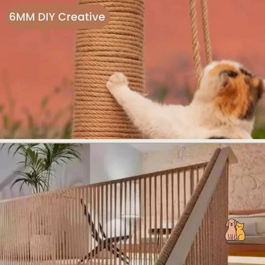 The Rope and Wood Hanging Swing