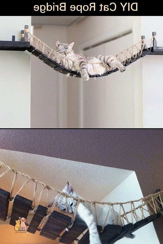 30 Creative Diy Cat Scratchers That Will Inspire You 7 Rope-Wrapped Table Legs Scratcher