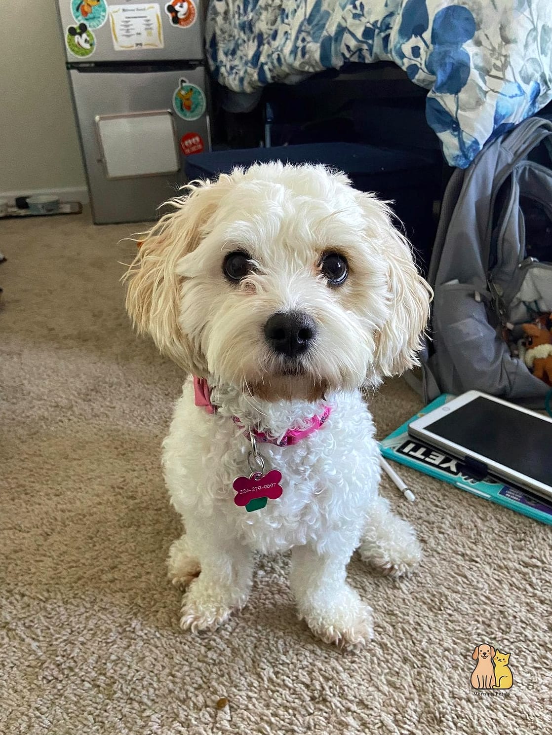 Rosie