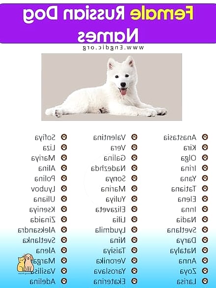 20 Female Dog Names That Are Totally Unique and Adorable 14 Rosie Mae