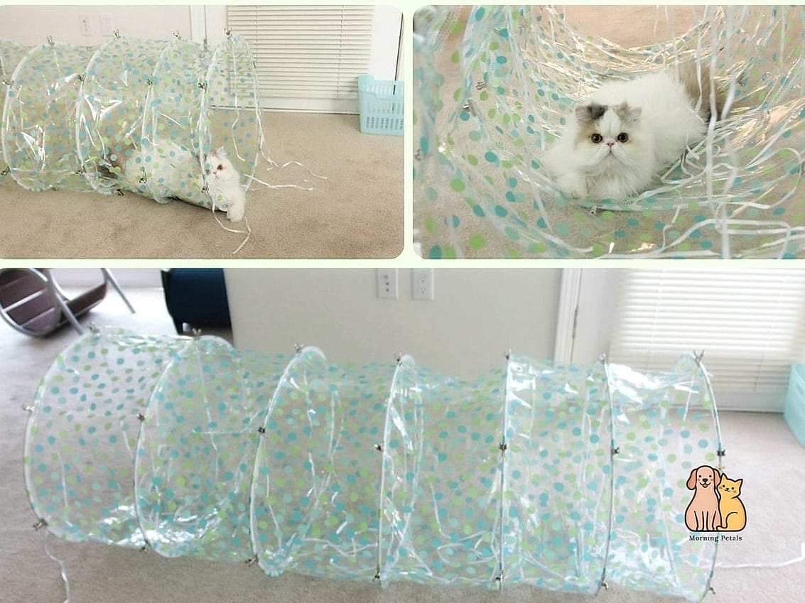 45 Easy Diy Cat Condo to Try Right Now 23 The Round Cat Tunnel Condo