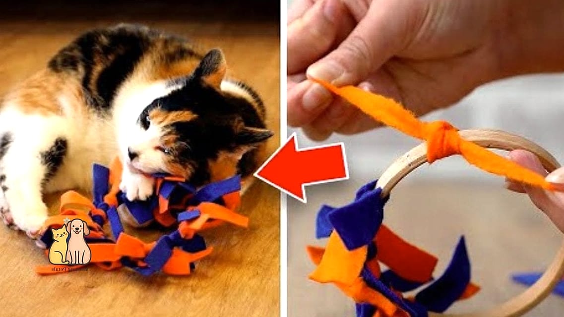 45 Easy Diy Cat Toys to Try Right Now 30 Rubber Band Ball