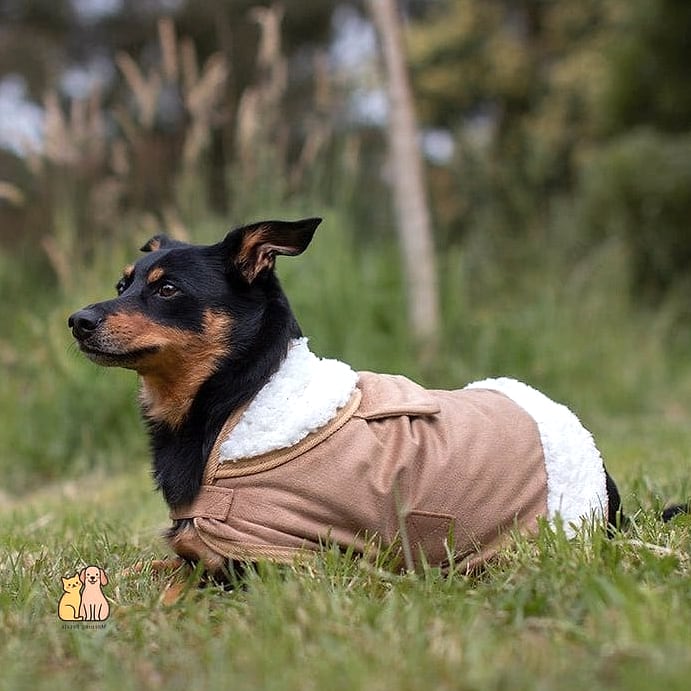 The Rugged Canvas Work Coat