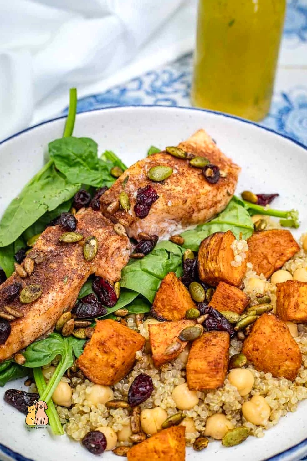 19 Budget-friendly Homemade Dog Meals That Are Totally Worth It 5 Salmon and Pumpkin Recipe