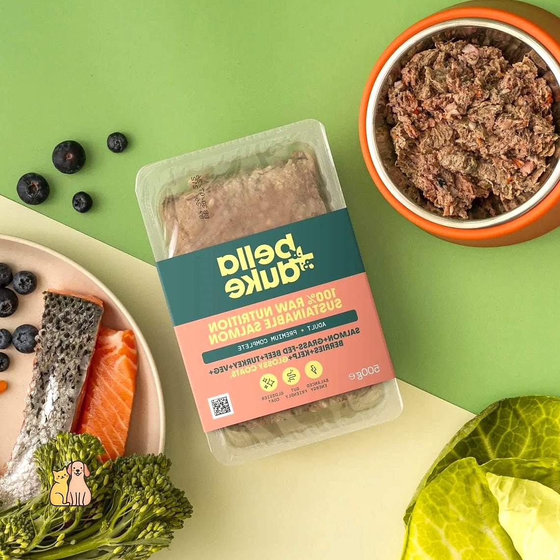 25 Clever Frozen Dog Treats Your Pet Will Beg For More 14 Salmon Yogurt Frozen Treats