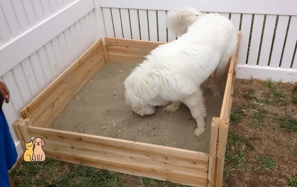 Sandbox with a Built-In Shade Cover
