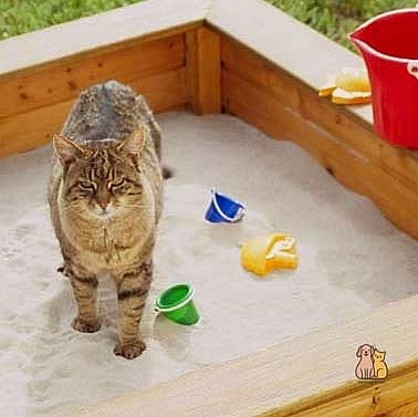Sandbox Digging Area