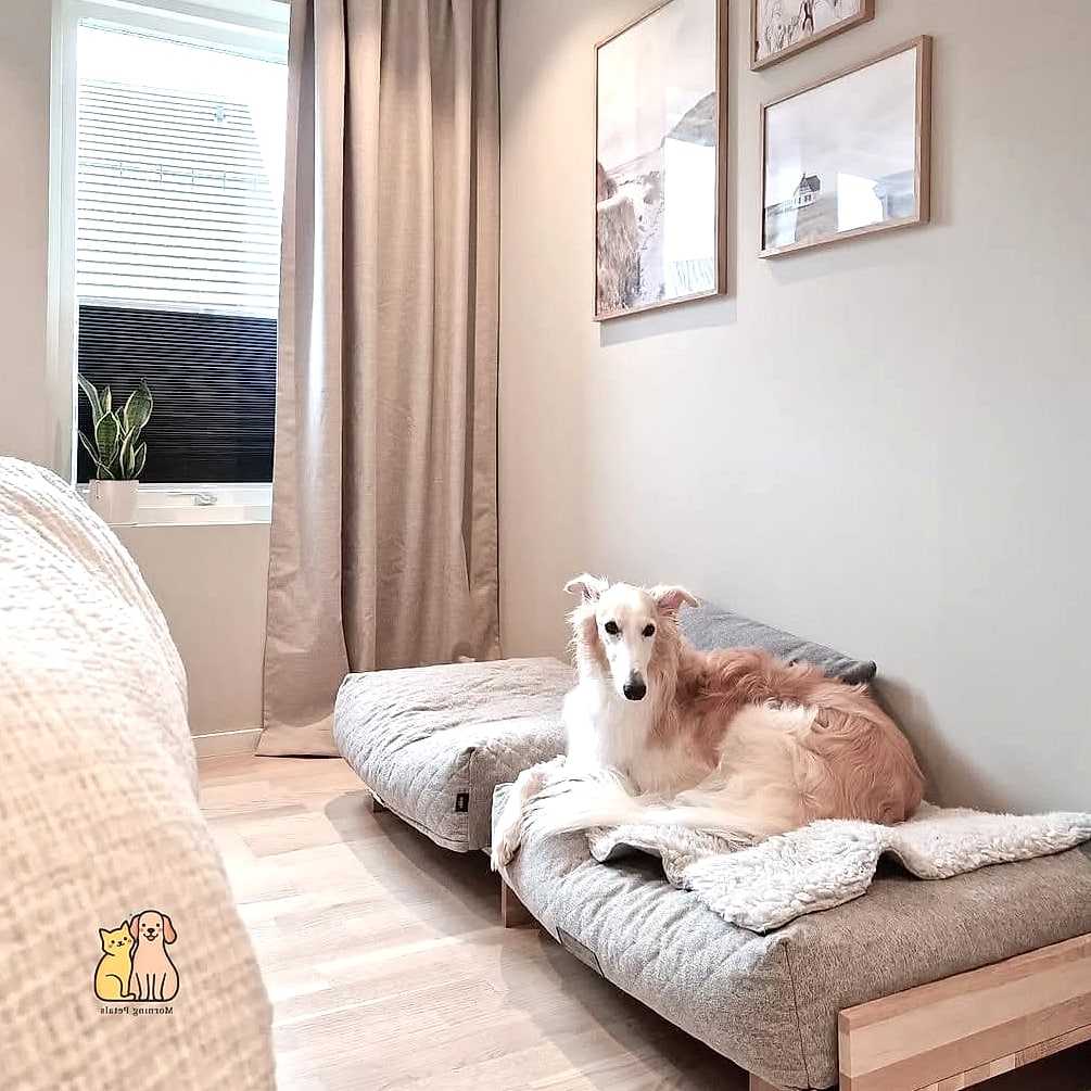The Scandinavian-Inspired Pet Sleeping Space