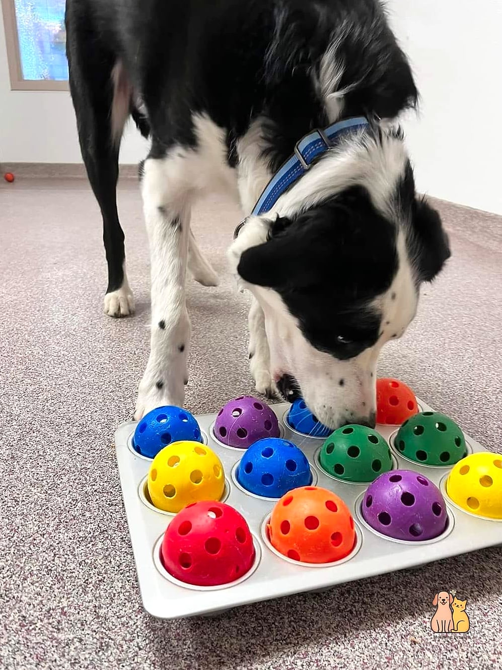 Scent Trail Games