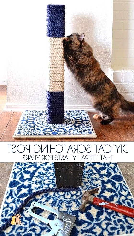 45 Easy Diy Cat Condo to Try Right Now 18 The Scratching Post Combo Condo