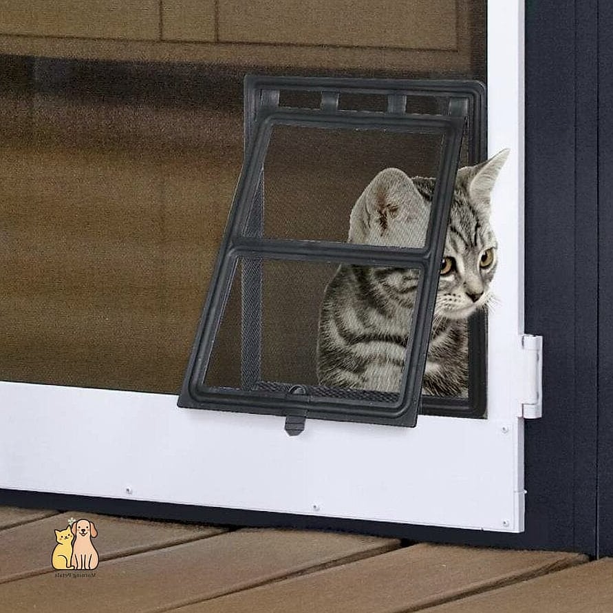 Screen Door Cat Flap