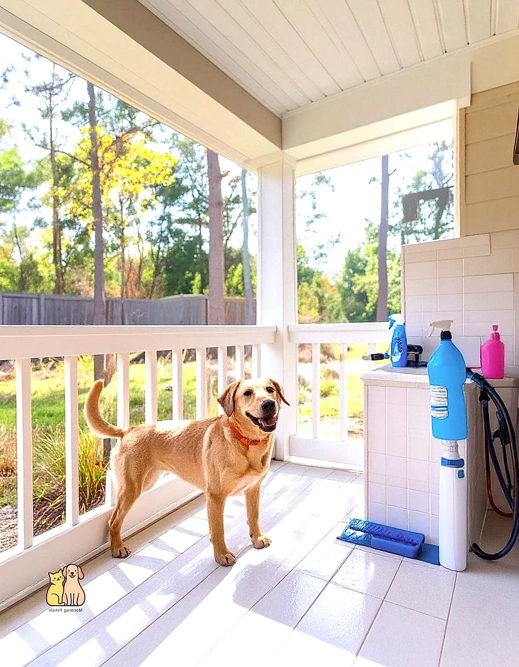 The Screened Porch Station