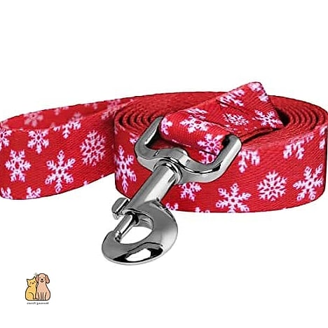 The Seasonal Holiday-Themed Leash