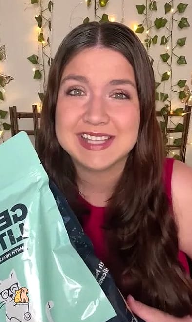 15 Genius Cat Food Setup Ideas Your Pet Will Beg For More 16 The Seasonal Rotation Setup