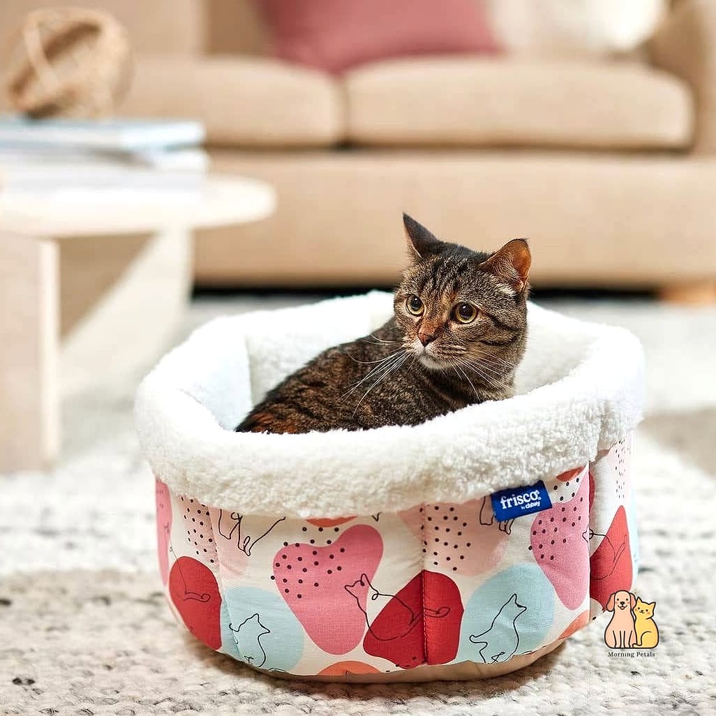 The Self-Warming Bed with Reflective Lining