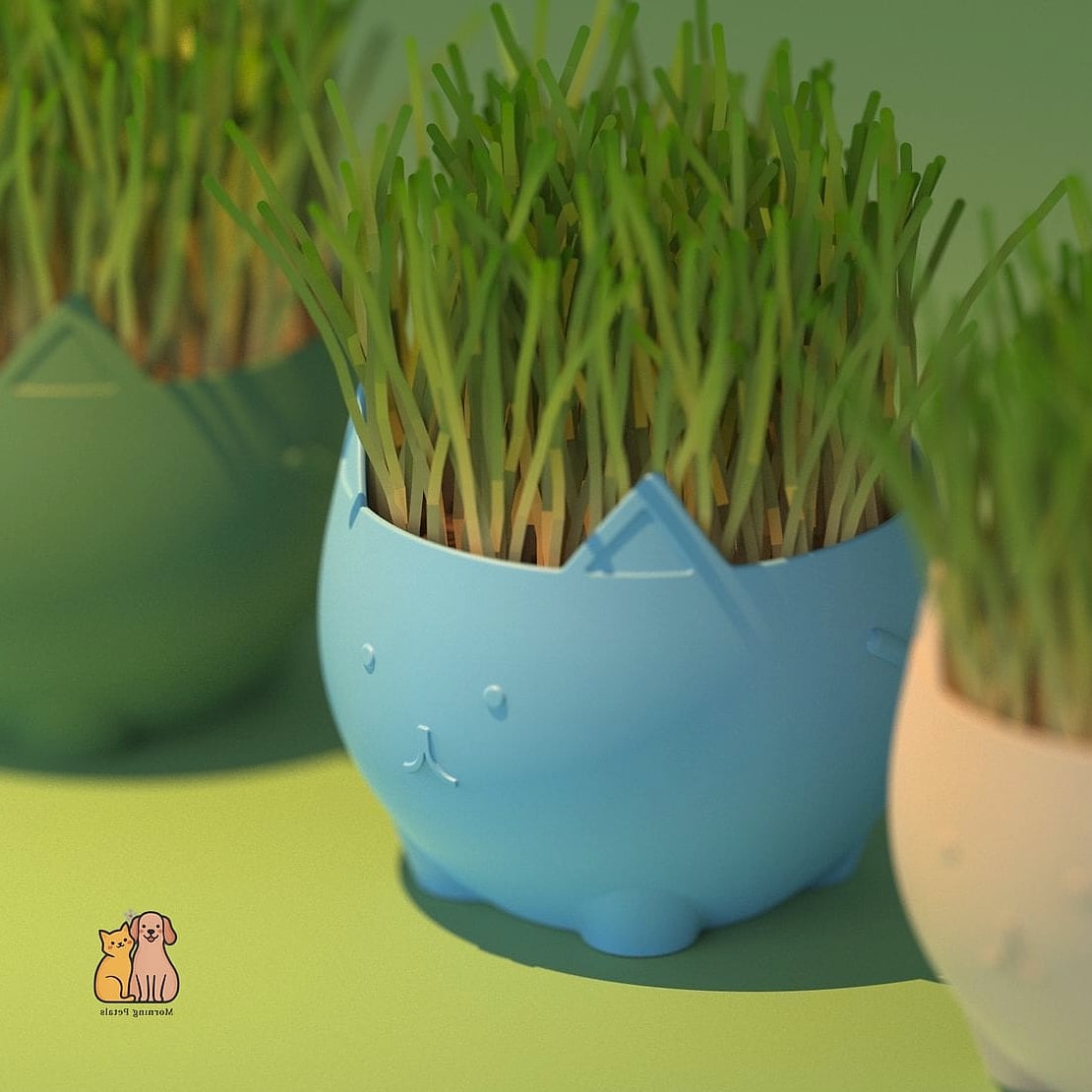 15 Gorgeous Cat Grass For Indoor Cats That Are Too Cute to Handle 10 Self-Watering Cat Grass Planter for Busy Owners