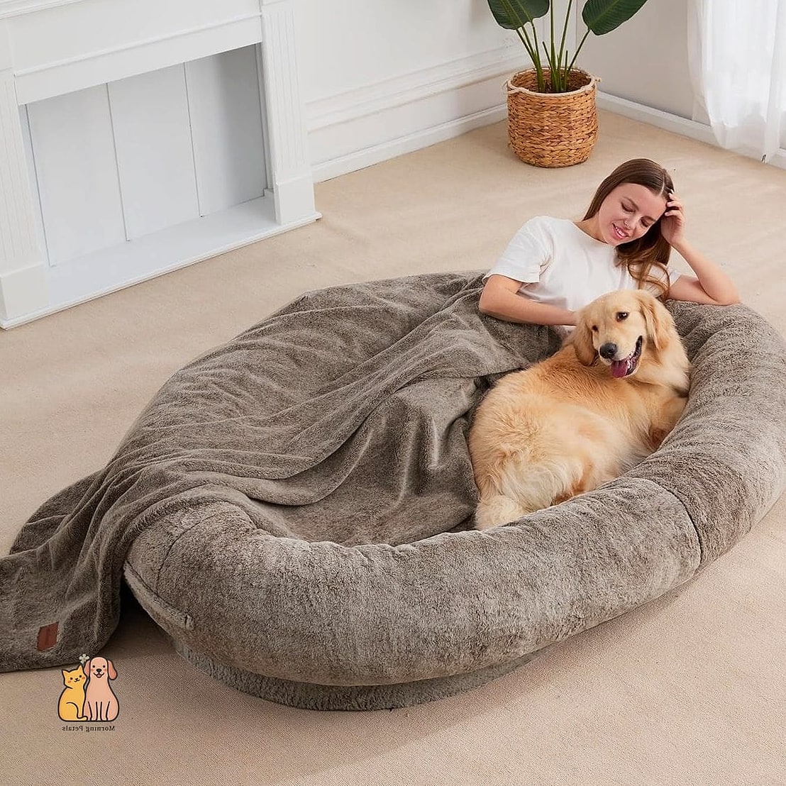 25 Amazing Dog Beds For Humans That Prove Pets Are the Best 24 24. The Senior Dog Comfort Bed