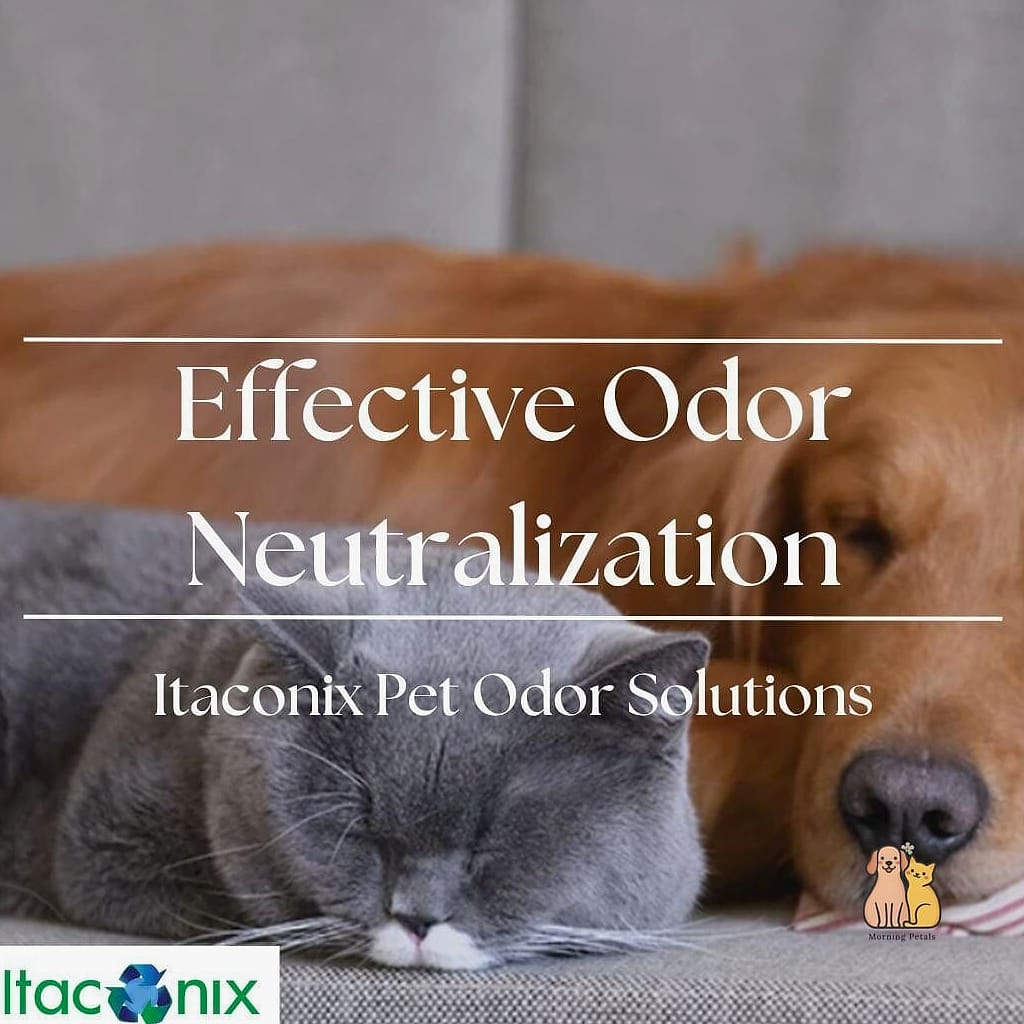 22 Heartwarming Pet Odor Air Purifiers You Need in Your Life Right Now 21 The Senior Pet Care Room Purifier