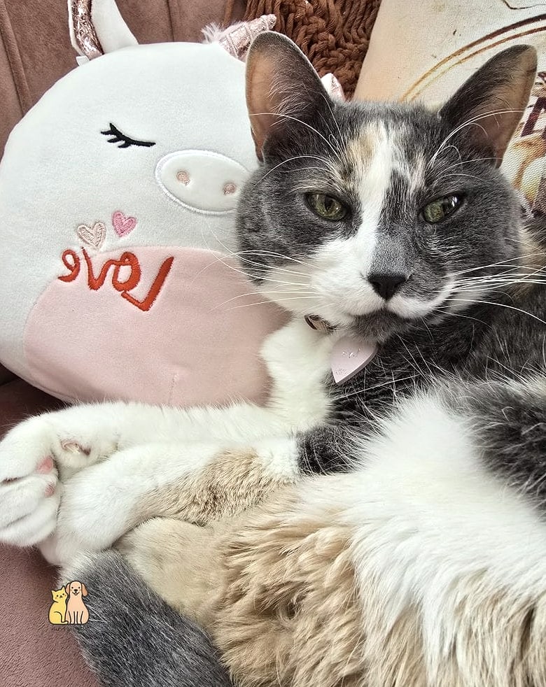 The Senior Sweetheart