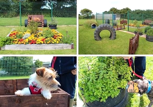 The Sensory Garden Path