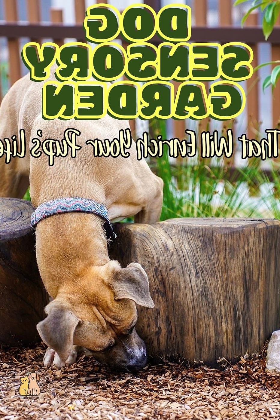 A Sensory Garden With Dog-Safe Plants