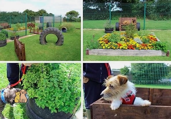 23 Precious Dog Yard Landscaping That Will Restore Your Faith in the World 18 A Sensory Garden with Textures and Scents